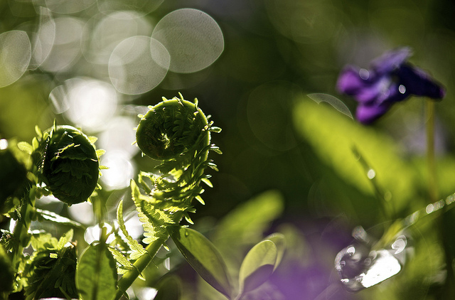 Feature Image 3